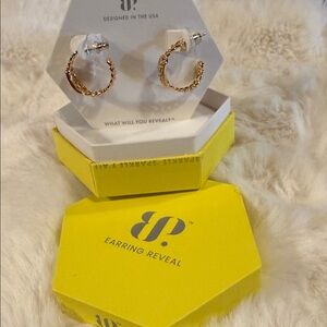 Gold Twisted Hoop Earrings